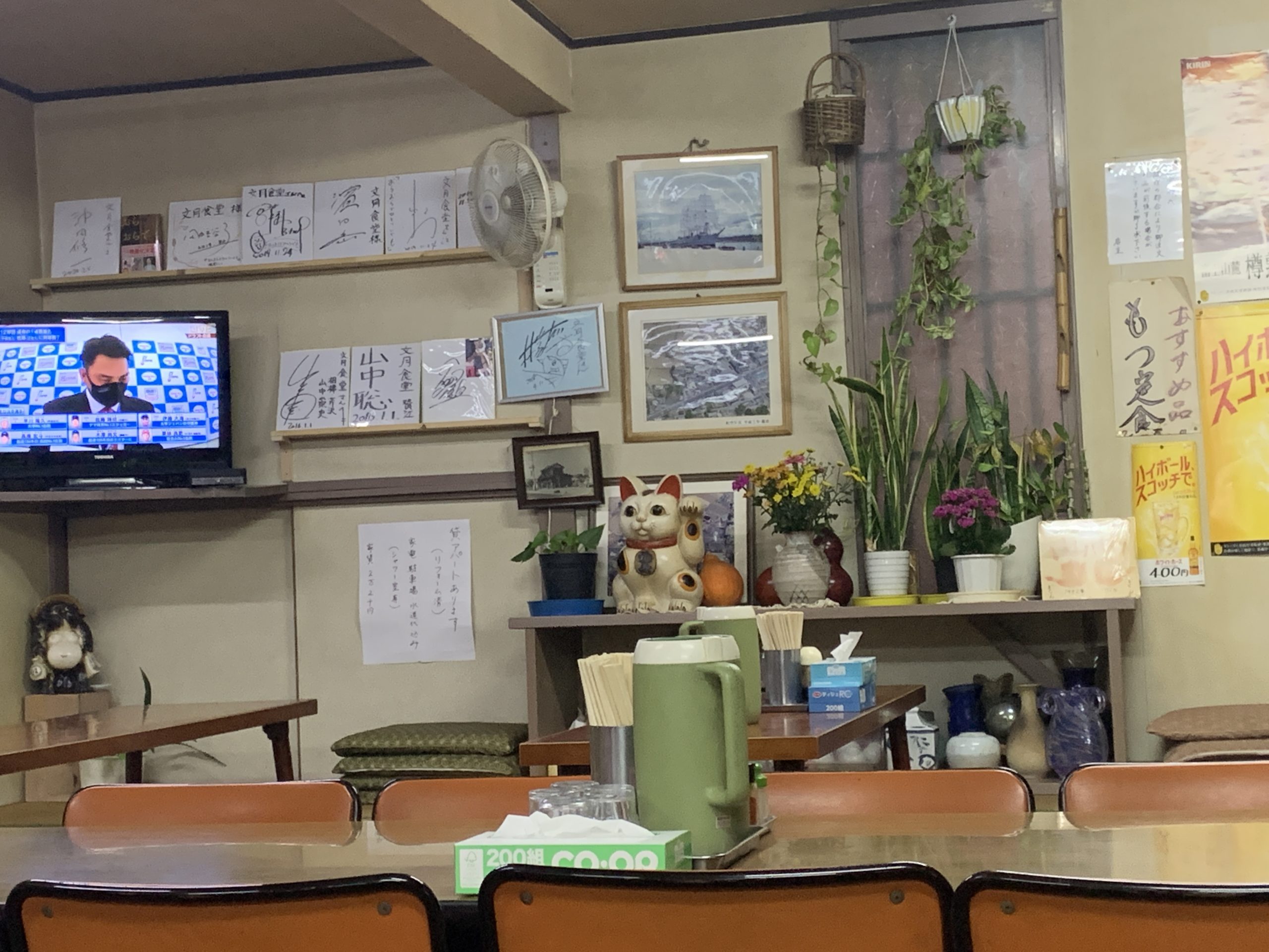 【昨日公開の映画】おらおらでひとりでいぐも 感想（昨日の私と今日の私は違っていい）